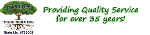 David's Tree Service, Inc.