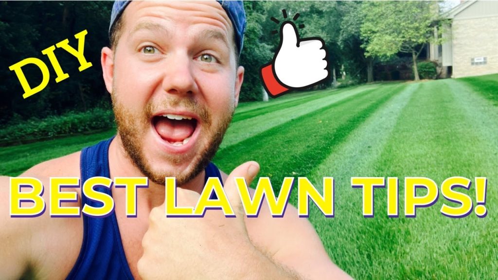 BEST Do-It-Yourself Lawn Care Tips!