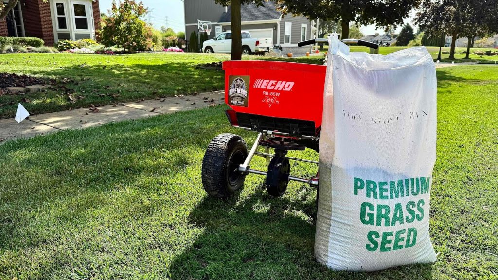 Seeding Success: Our Overseeding Process + Pricing Explained
